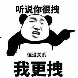 快手二驴表情包,快手网红的幽默魅力